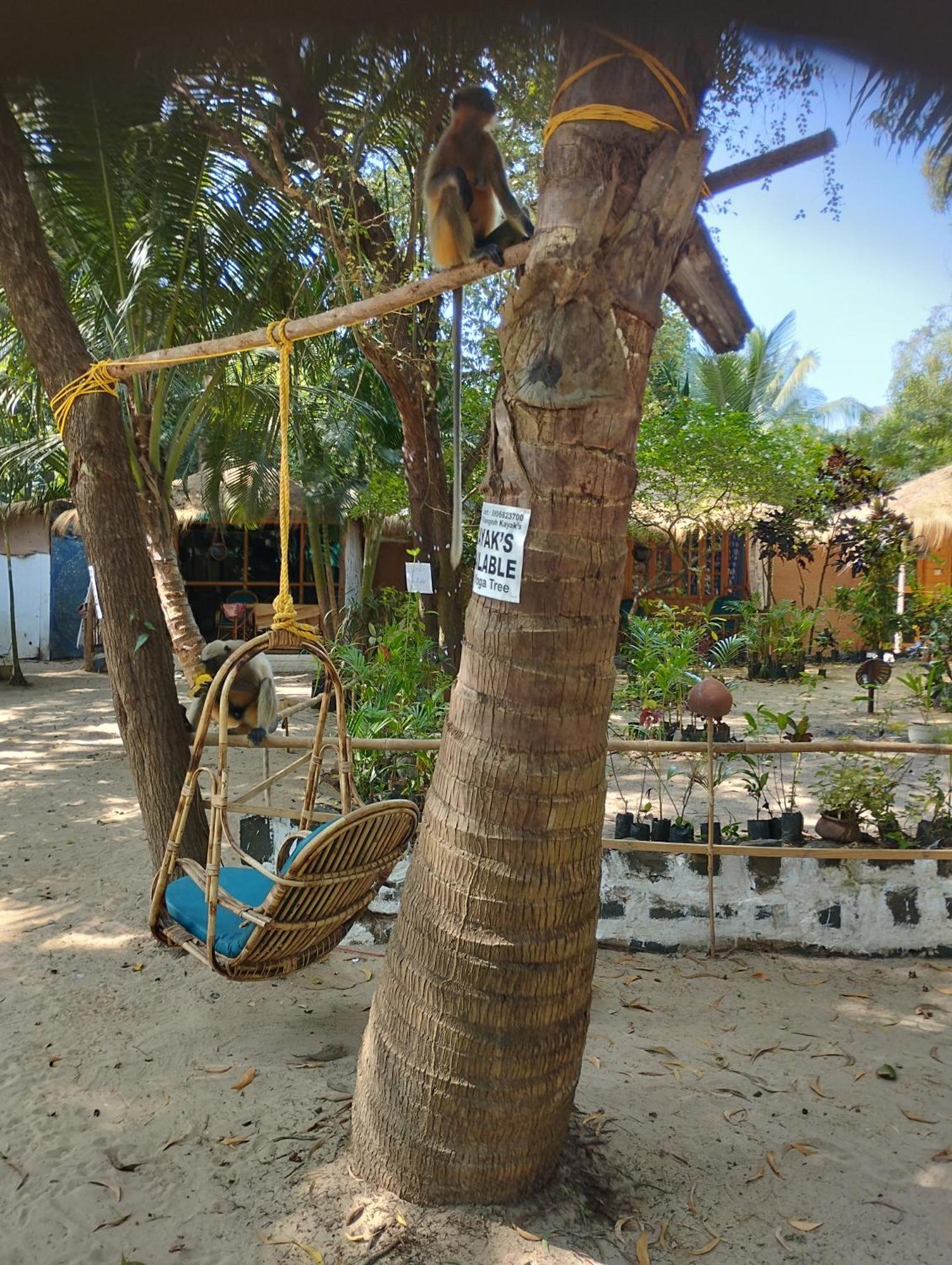 Yoga Culture Palolem Hotel Bagian luar foto